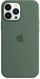 Apple Silicone Casing with MagSafe untuk iPhone 13 Pro Max Eukalyptus