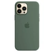 Apple Silicone Casing with MagSafe untuk iPhone 13 Pro Max Eukalyptus