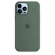 Apple Silicone Casing with MagSafe untuk iPhone 13 Pro Max Eukalyptus