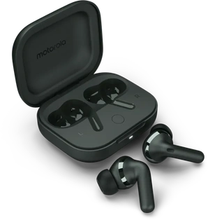 Motorola Moto Buds+ Forest Grey
