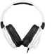 Turtle Beach Recon 200 White