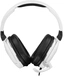 Turtle Beach Recon 200 White